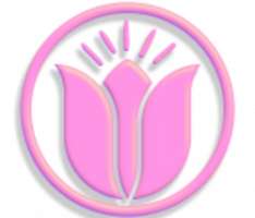 tulip.money