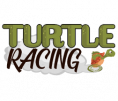 turtleracing.io