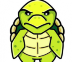 turtlelute.com