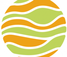 twinci.io