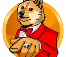 uncledoge.net