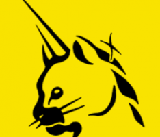 unicattoken.com