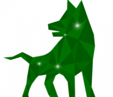 uniteddogefinance.com