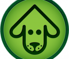 updog.finance