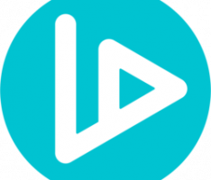 vidt-datalink.com