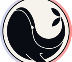 valasfinance.com