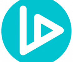 vidt-dao.com