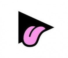 vidy.com