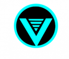 vincenzonetwork.com