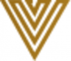 vipcoin.gold