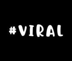 theviralcrypto.co