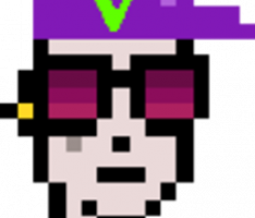 vpunks.com