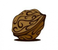 walnut.finance