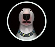 walterinu.io