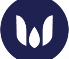 wardenswap.com
