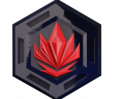 warena.io