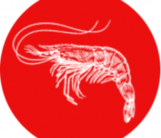 whalestreet.xyz