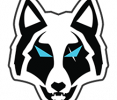 wliti.io