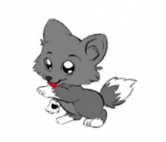 wolfdencrypto.com