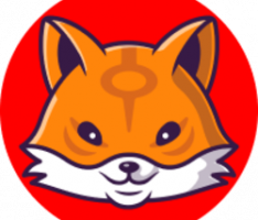 wolfitoken.com