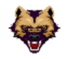 wolverineofficial.com
