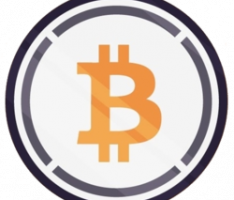wbtc.network