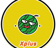 xigua.ist