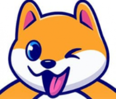 xlshiba.com