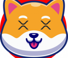 xrshib.com