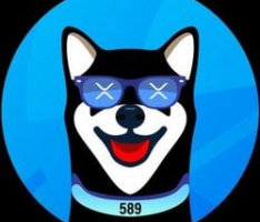 xrdoge.com