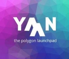yaanlaunchpad.com
