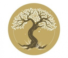 yakushimafo.rest