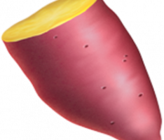 yam.finance