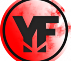 yfrm.finance