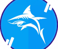 yearnshark.finance