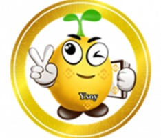 ysoychain.farm