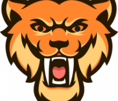 zabu.finance
