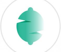 zestprotocol.fi