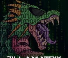 zillamatrix.com