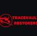 TraceVault